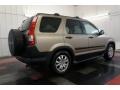 Sahara Sand Metallic - CR-V EX 4WD Photo No. 7