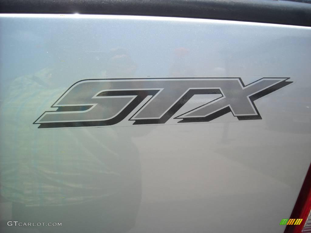 2004 F150 STX SuperCab - Silver Metallic / Medium/Dark Flint photo #15