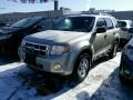 Gold Leaf Metallic - Escape XLT V6 4WD Photo No. 4