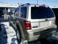 Gold Leaf Metallic - Escape XLT V6 4WD Photo No. 5