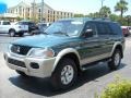 2003 Amazon Green Pearl Mitsubishi Montero Sport XLS  photo #7