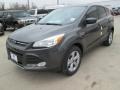 2015 Magnetic Metallic Ford Escape SE  photo #5