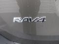 2015 Pyrite Mica Toyota RAV4 LE  photo #13