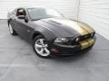 Black - Mustang GT Premium Coupe Photo No. 2