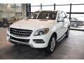 Polar White 2015 Mercedes-Benz ML 250 BlueTEC 4Matic Exterior
