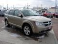 Light Sandstone Metallic - Journey SXT AWD Photo No. 7