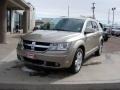Light Sandstone Metallic - Journey SXT AWD Photo No. 10
