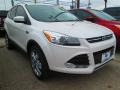 2015 White Platinum Metallic Tri-Coat Ford Escape Titanium  photo #1