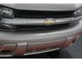 Silverstone Metallic - TrailBlazer LS 4x4 Photo No. 35