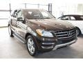 Dakota Brown Metallic - ML 350 4Matic Photo No. 1