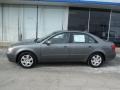 Willow Gray - Sonata GLS Photo No. 2