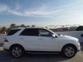 Polar White - ML 350 Photo No. 3