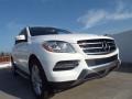 Polar White - ML 350 Photo No. 11