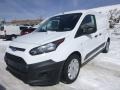 Frozen White 2015 Ford Transit Connect XL Van Exterior