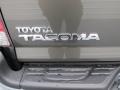 Pyrite Mica - Tacoma Access Cab 4x4 Photo No. 14