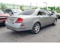 Desert Platinum - M 45 Photo No. 30