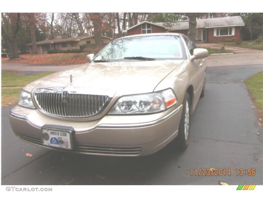 2006 Town Car Signature Limited - Light French Silk Metallic / Light Camel photo #2
