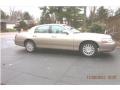 Light French Silk Metallic - Town Car Signature Limited Photo No. 4