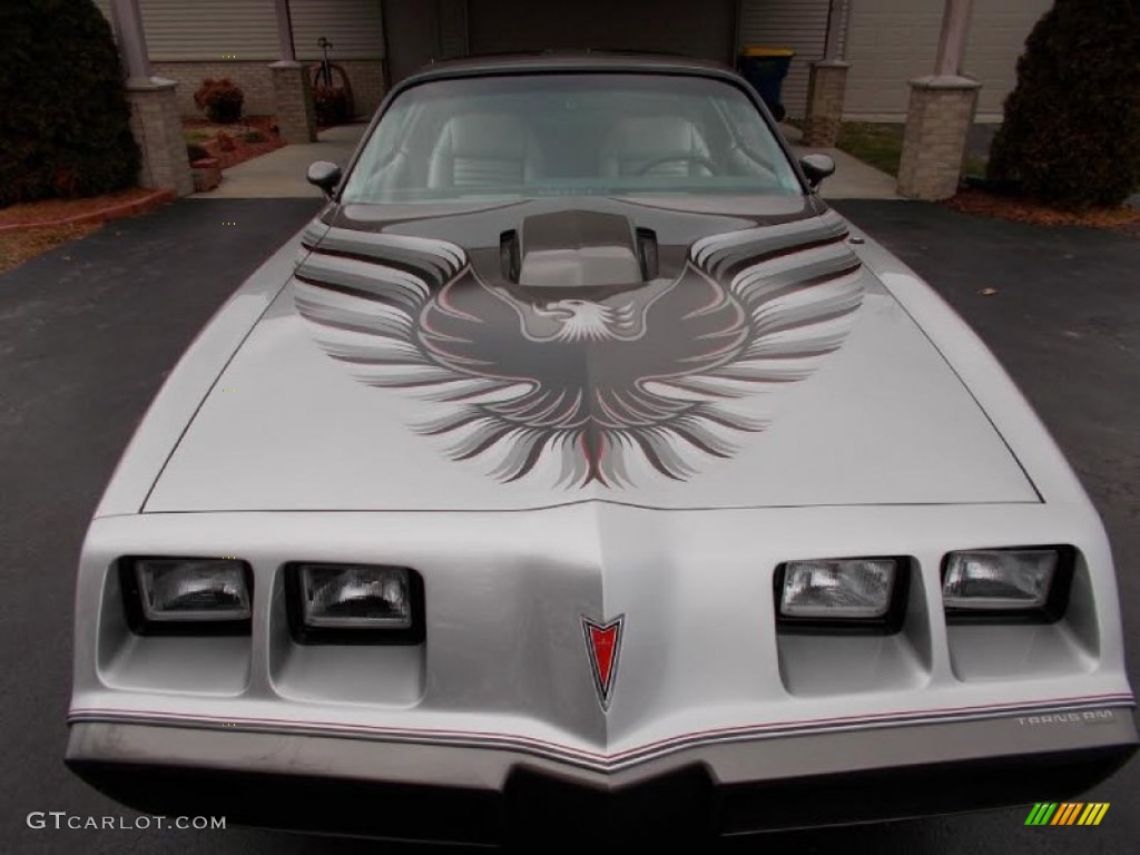 1979 Firebird 10th Anniversary Trans Am - 10th Anniversary Silver/Charcoal / Silver photo #2