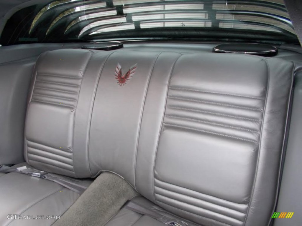 1979 Firebird 10th Anniversary Trans Am - 10th Anniversary Silver/Charcoal / Silver photo #11