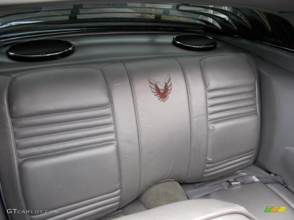 1979 Firebird 10th Anniversary Trans Am - 10th Anniversary Silver/Charcoal / Silver photo #12