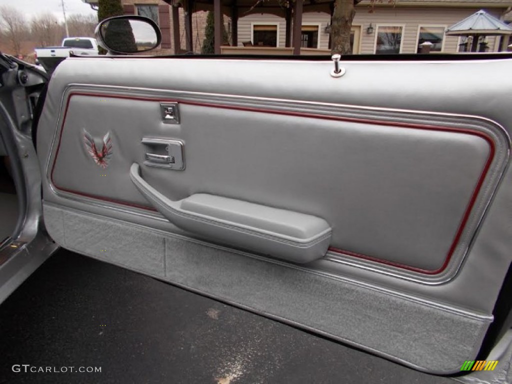 1979 Firebird 10th Anniversary Trans Am - 10th Anniversary Silver/Charcoal / Silver photo #14