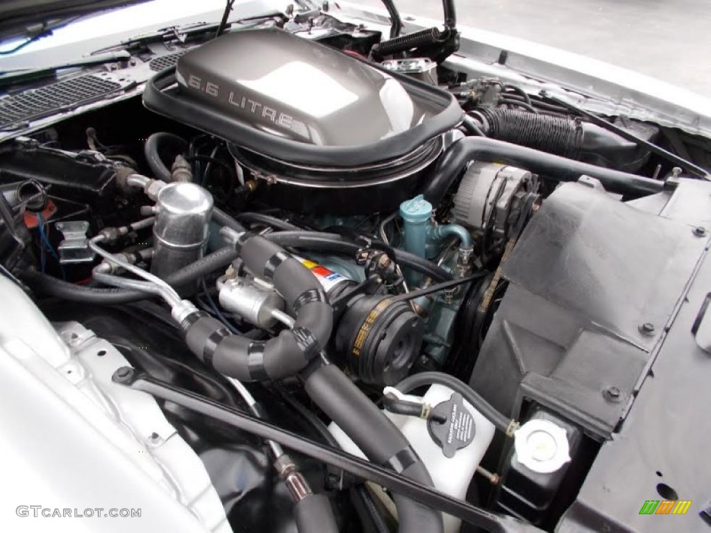 1979 Firebird 10th Anniversary Trans Am - 10th Anniversary Silver/Charcoal / Silver photo #16