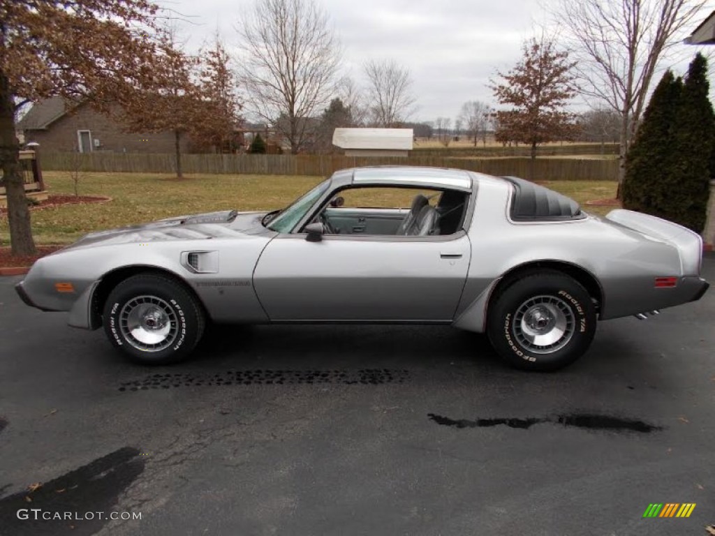 1979 Firebird 10th Anniversary Trans Am - 10th Anniversary Silver/Charcoal / Silver photo #21