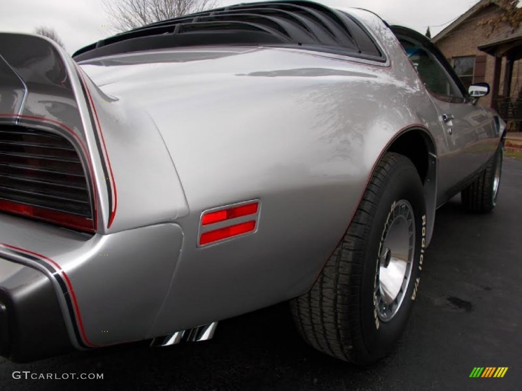 1979 Firebird 10th Anniversary Trans Am - 10th Anniversary Silver/Charcoal / Silver photo #25