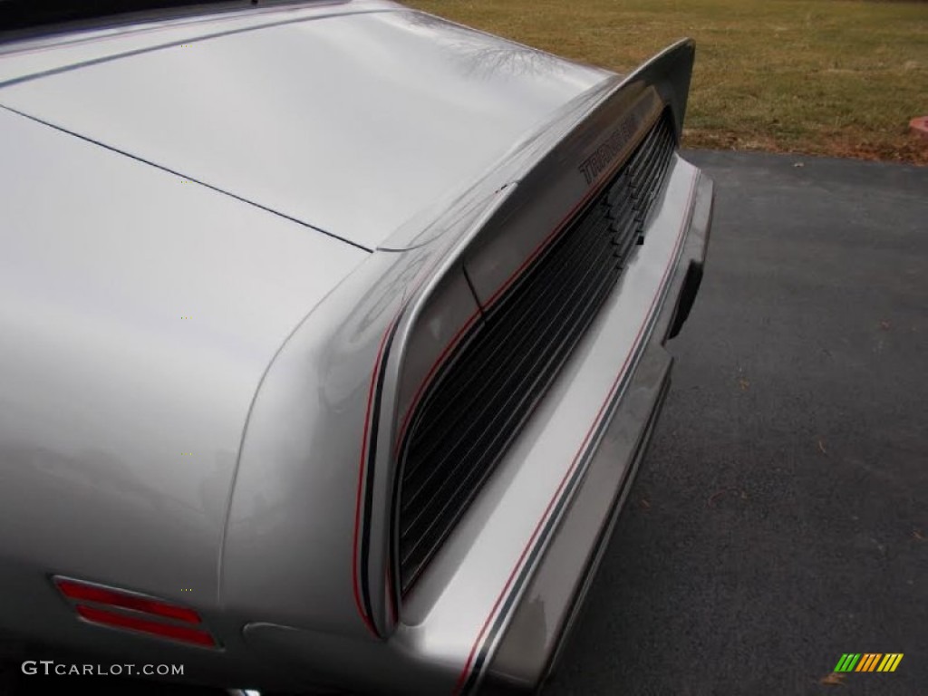 1979 Firebird 10th Anniversary Trans Am - 10th Anniversary Silver/Charcoal / Silver photo #26