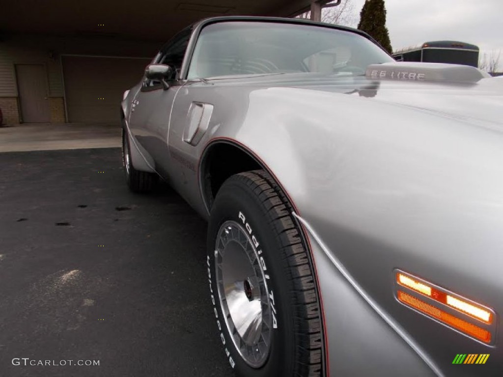 1979 Firebird 10th Anniversary Trans Am - 10th Anniversary Silver/Charcoal / Silver photo #27