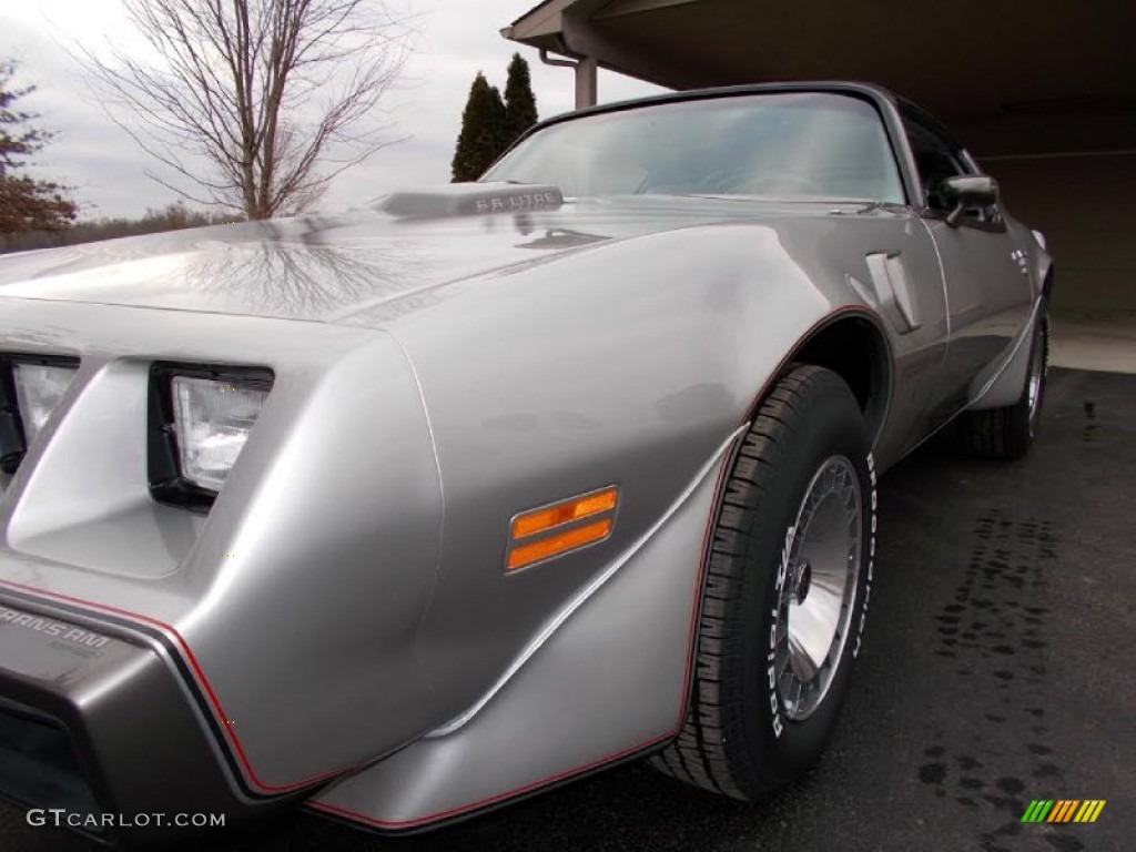 1979 Firebird 10th Anniversary Trans Am - 10th Anniversary Silver/Charcoal / Silver photo #29