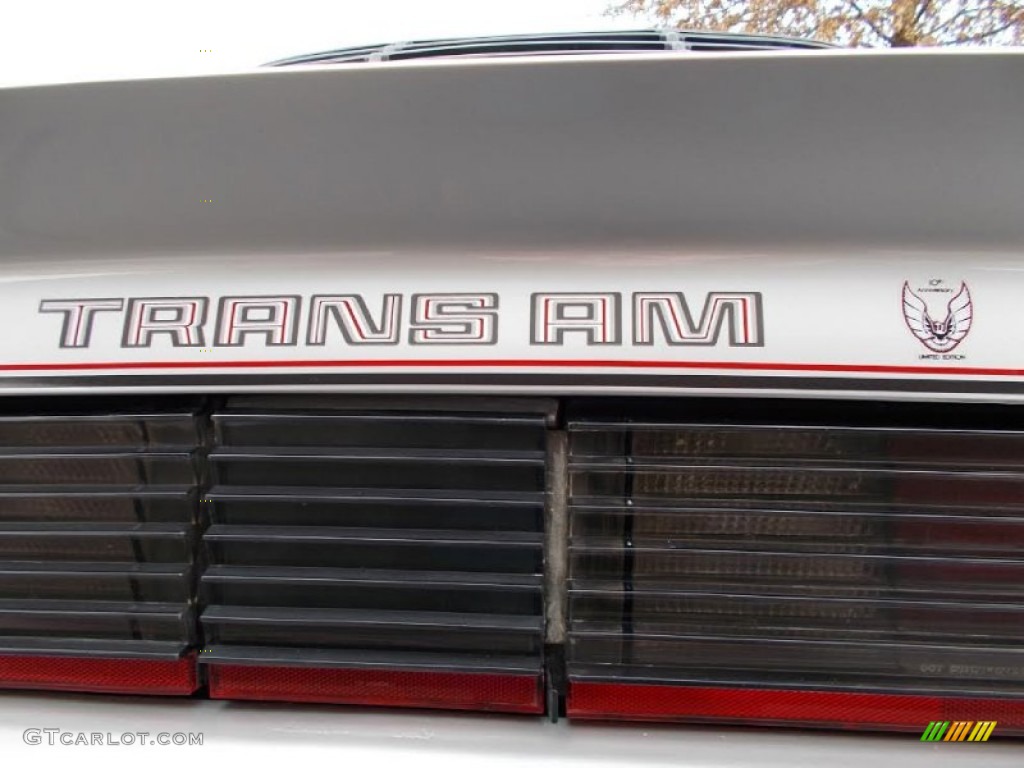 1979 Firebird 10th Anniversary Trans Am - 10th Anniversary Silver/Charcoal / Silver photo #30