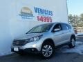 Alabaster Silver Metallic - CR-V EX 4WD Photo No. 1