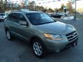 2008 Natural Khaki Green Hyundai Santa Fe Limited 4WD  photo #5