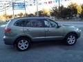 2008 Natural Khaki Green Hyundai Santa Fe Limited 4WD  photo #8