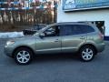 2008 Natural Khaki Green Hyundai Santa Fe Limited 4WD  photo #19