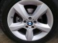 Alpine White - X5 xDrive30i Photo No. 10