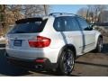 Titanium Silver Metallic - X5 4.8i Photo No. 6