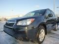 Dark Gray Metallic 2015 Subaru Forester Gallery