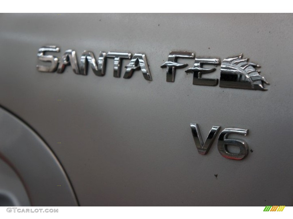 2003 Santa Fe LX 4WD - Pewter / Gray photo #61