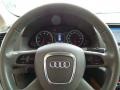 Cardamom Beige Steering Wheel Photo for 2009 Audi Q5 #101909009