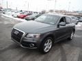 Monsoon Gray Metallic - Q5 3.2 FSI quattro Photo No. 7