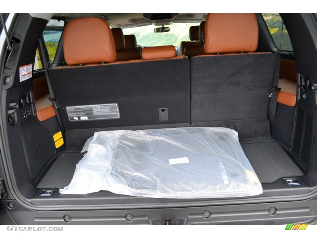 2015 Toyota Sequoia Platinum 4x4 Trunk Photo #101919971
