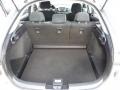 2010 Mitsubishi Lancer Black Interior Trunk Photo