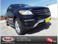 Black - ML 350 Photo No. 1