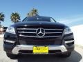Black - ML 350 Photo No. 2