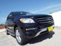 Black - ML 350 Photo No. 11