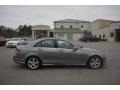 Palladium Silver Metallic - C 300 Luxury Photo No. 2