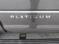 Magnetic Metallic - Expedition EL Platinum Photo No. 14